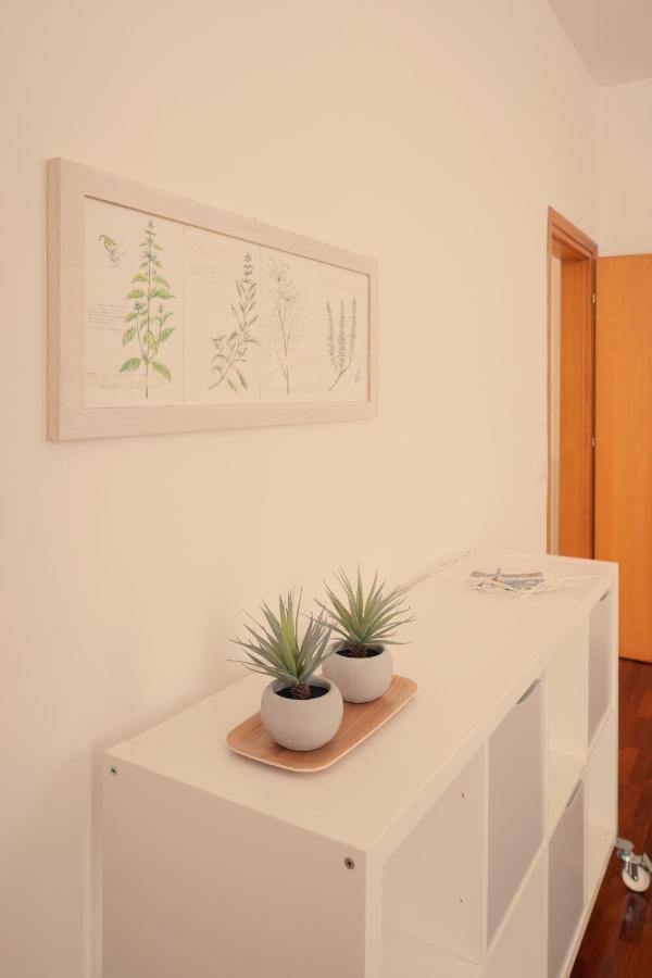 Casa Alina- Art House Διαμέρισμα Φολίνιο Εξωτερικό φωτογραφία